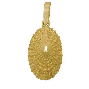 14k Yellow Gold Large Limpet Shell Pendant