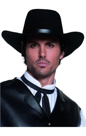 Adult Gunslinger Hat