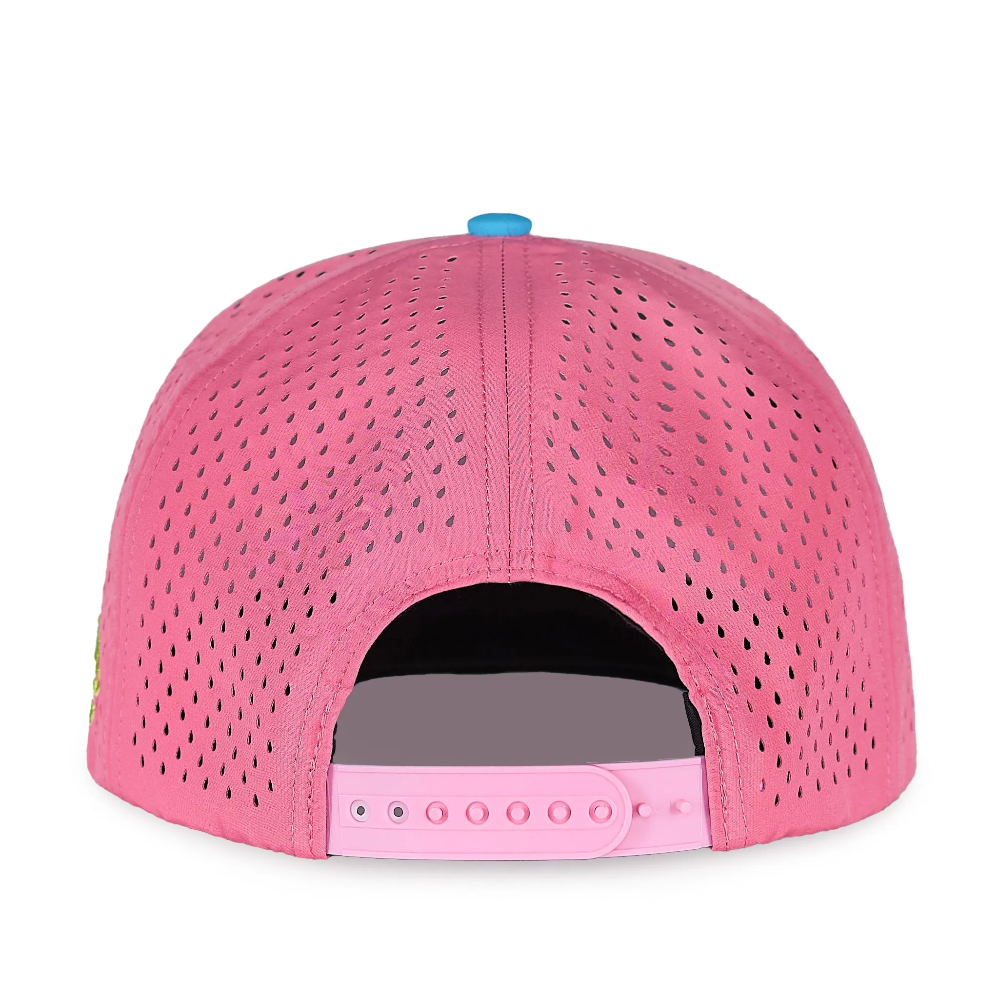 BubbleBird SnapBack Hat
