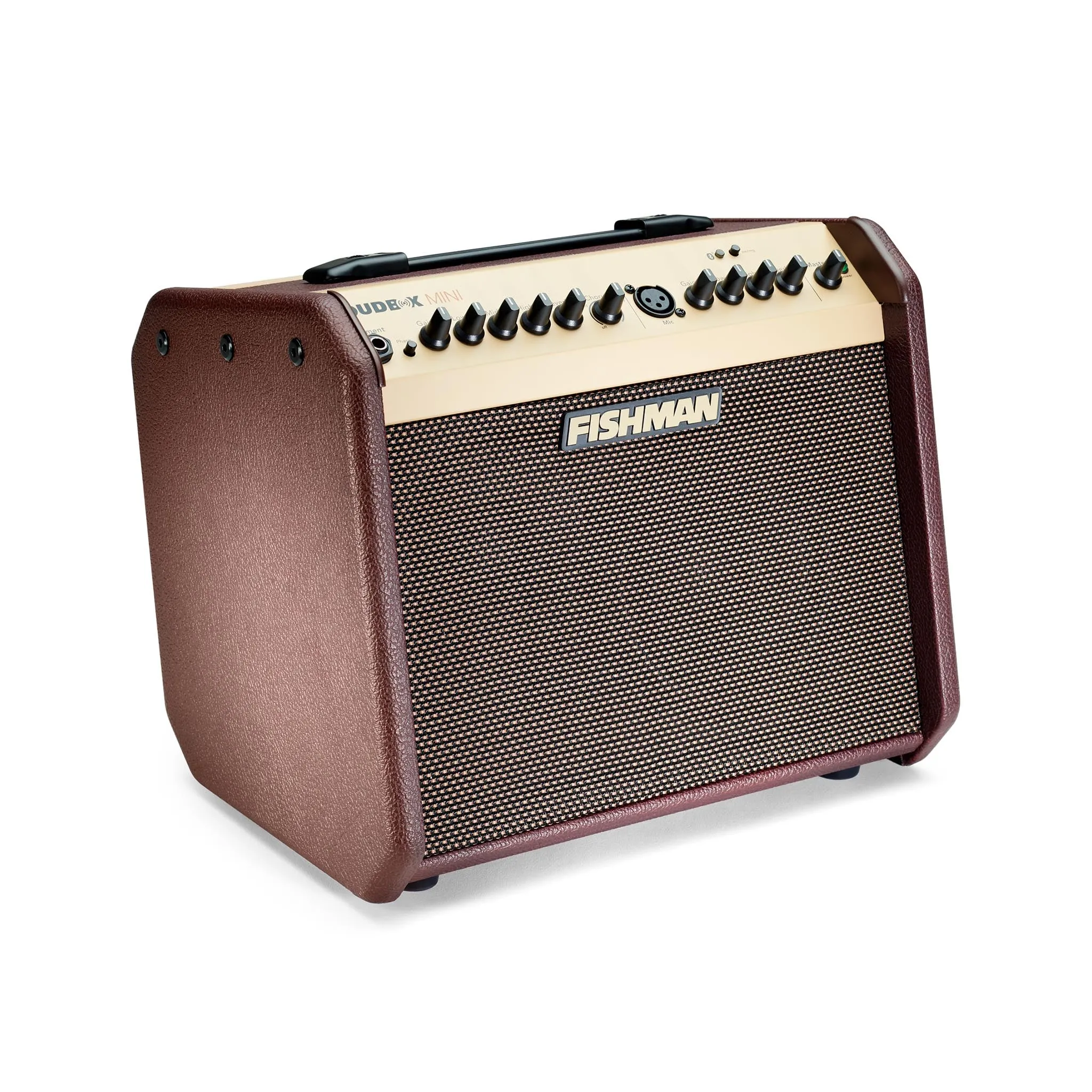 Fishman Loudbox Mini Bluetooth 60W Acoustic Guitar Amplifier, UK