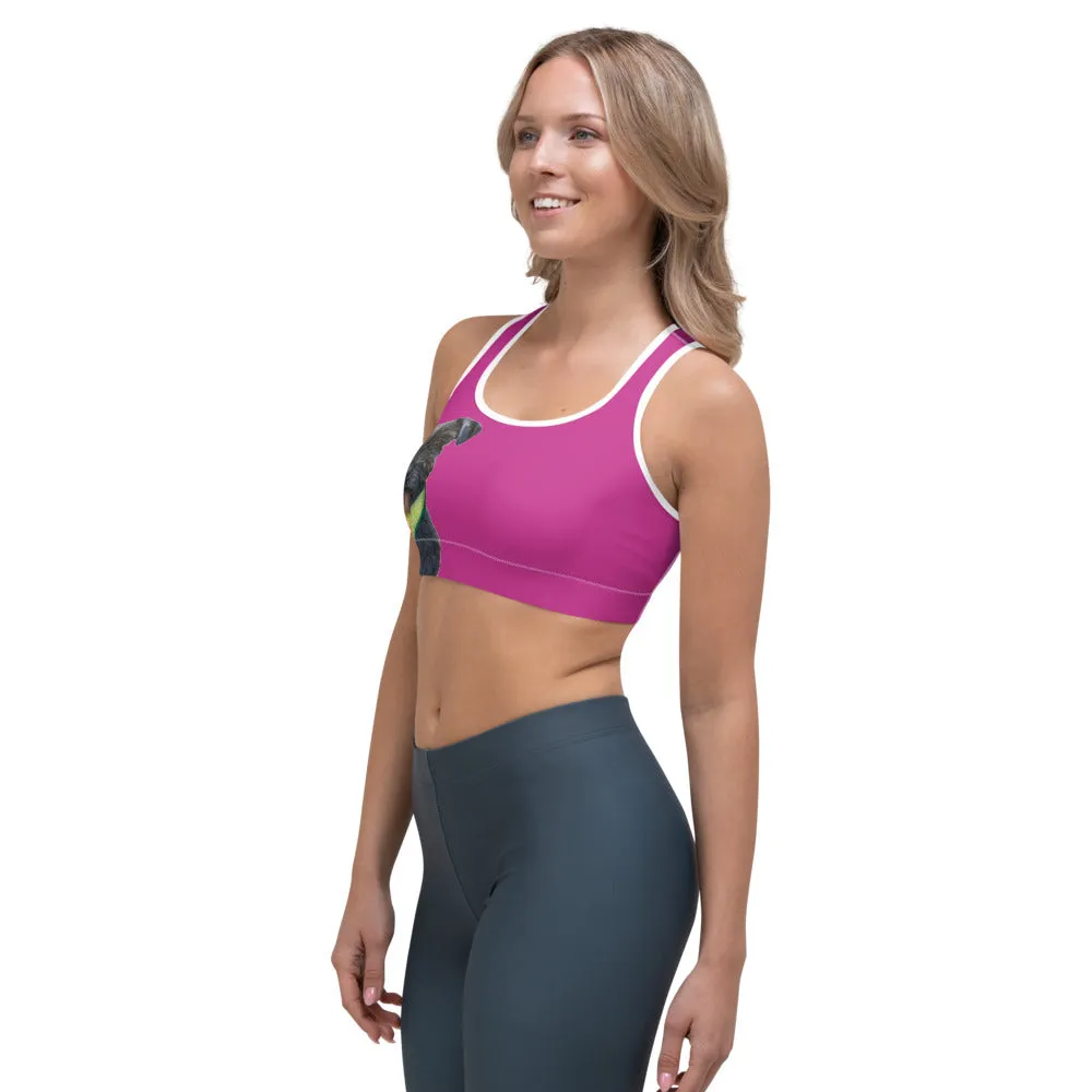 Hot Pink Sports bra with Schnauzer