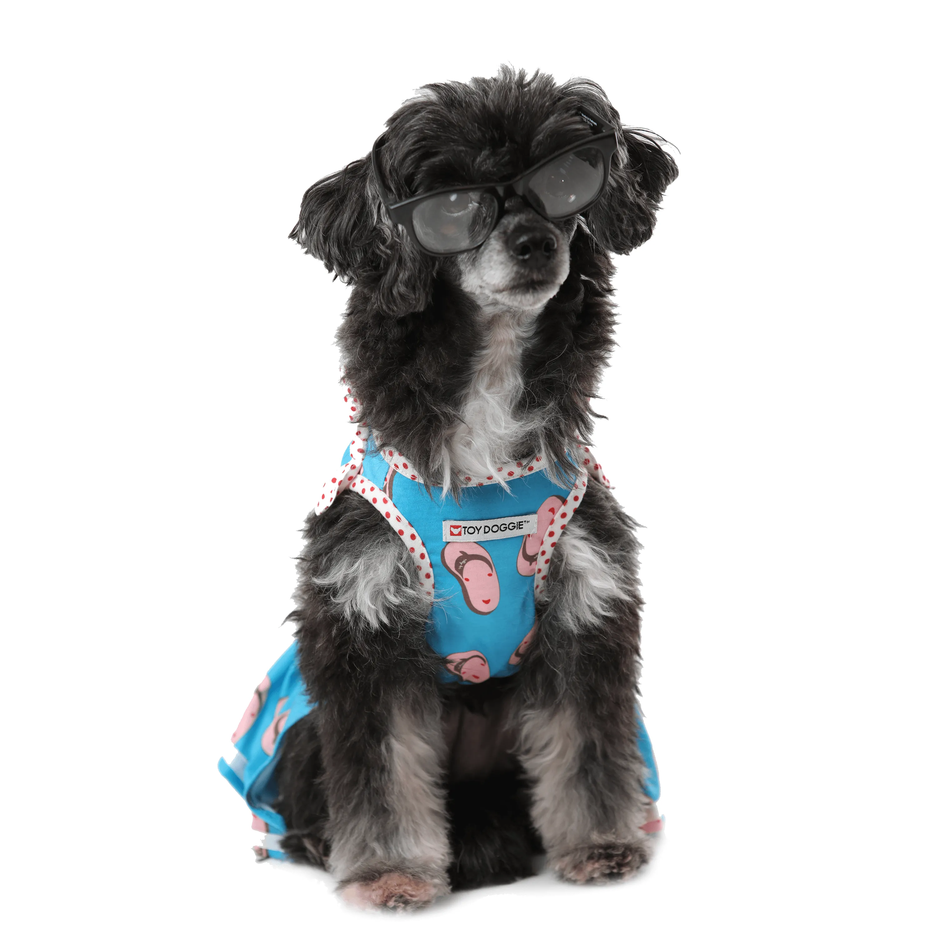 LA CHANCLETA VOLADORA - Pet Dress