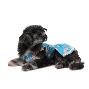 LA CHANCLETA VOLADORA - Pet Dress