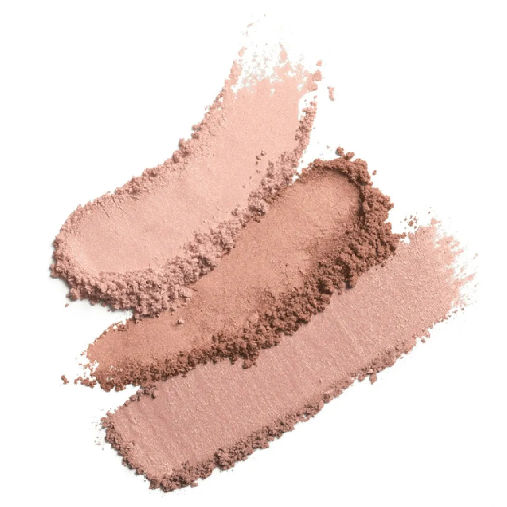 Pack of 2 CoverGirl Instant Cheekbones Contouring Blush, Sophisticated Sable 240
