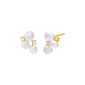 Pearl X CZ Cluster Stud Earring