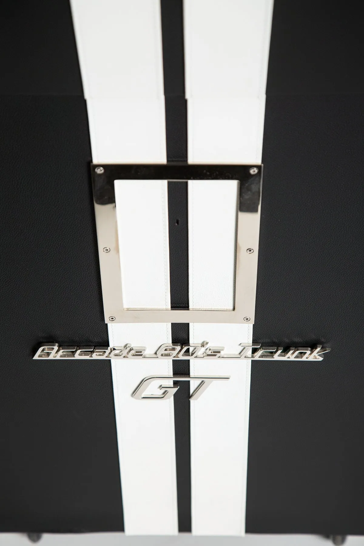 PINEL & PINEL | ARCADE TRUNK