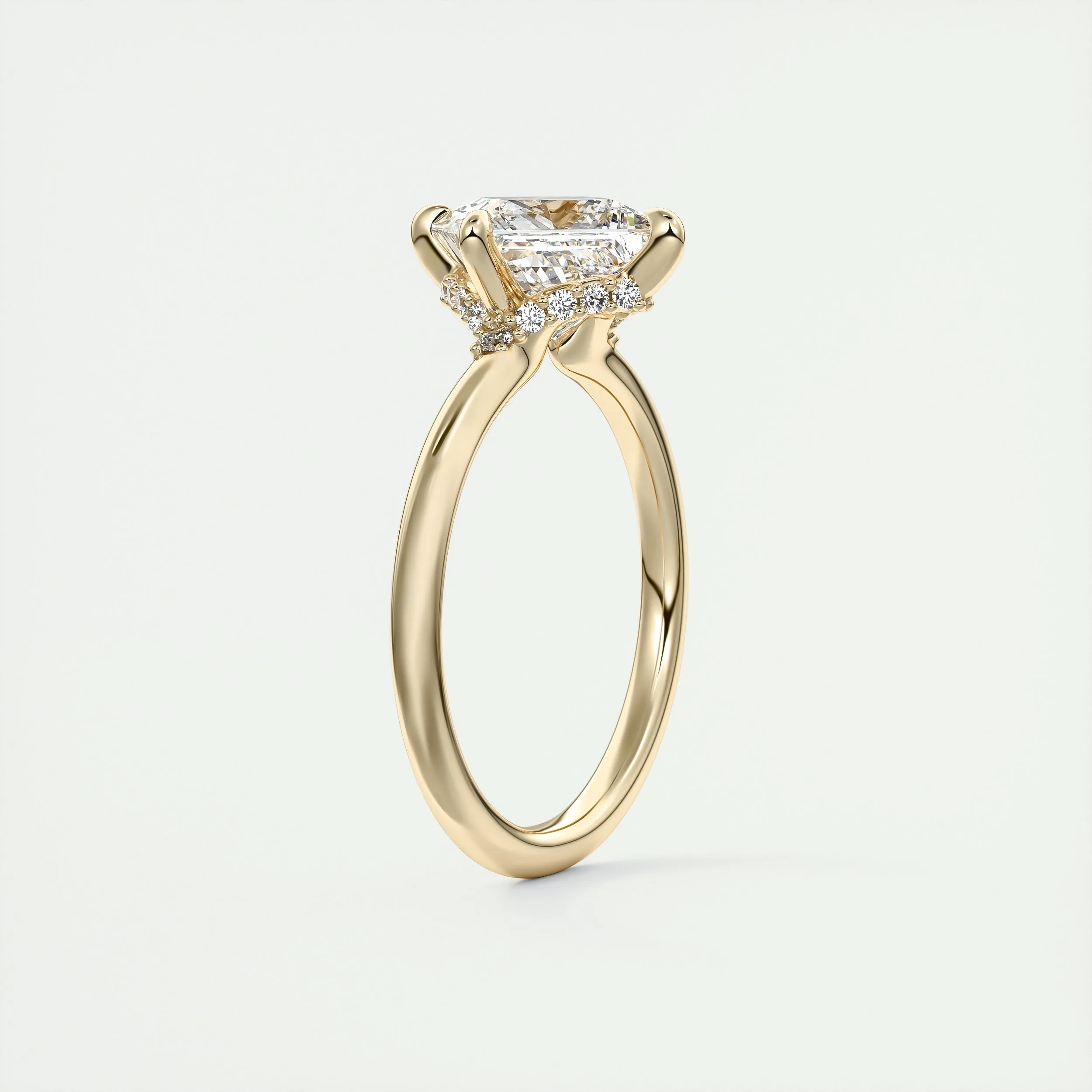 Plunge Hidden Halo | Princess