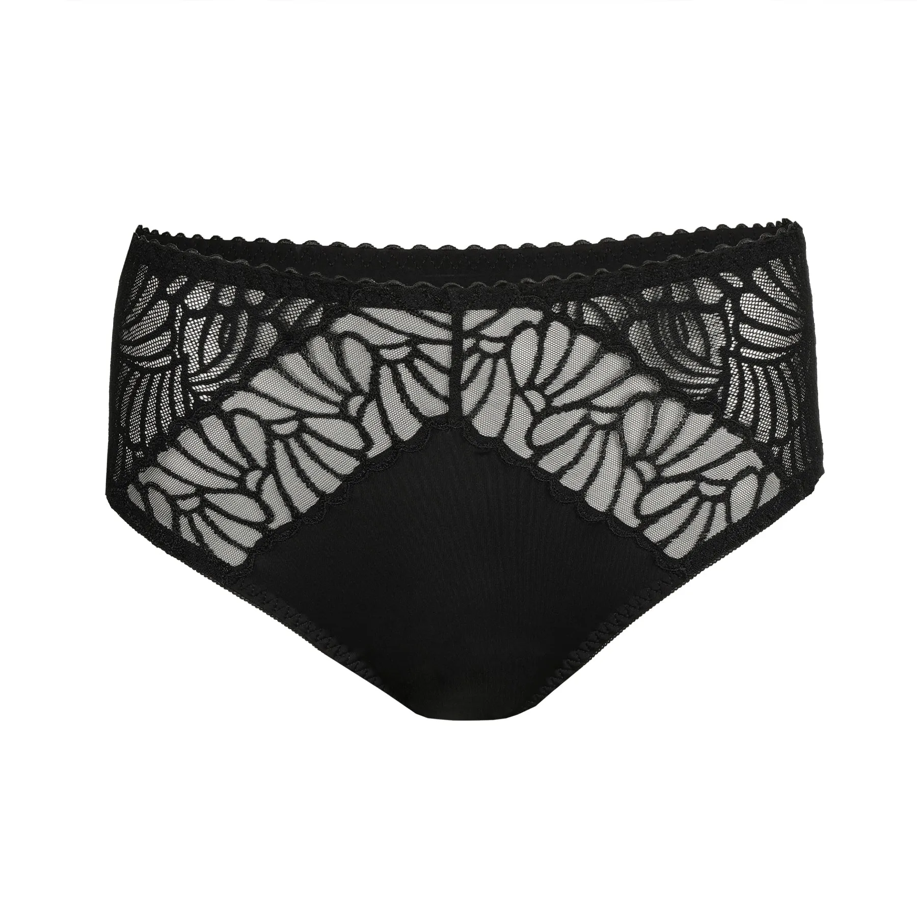 PrimaDonna Gallipoli Full Brief