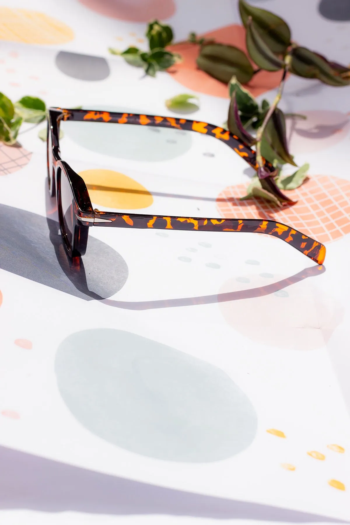 Rounded Square Retro Pin Style Sunglasses