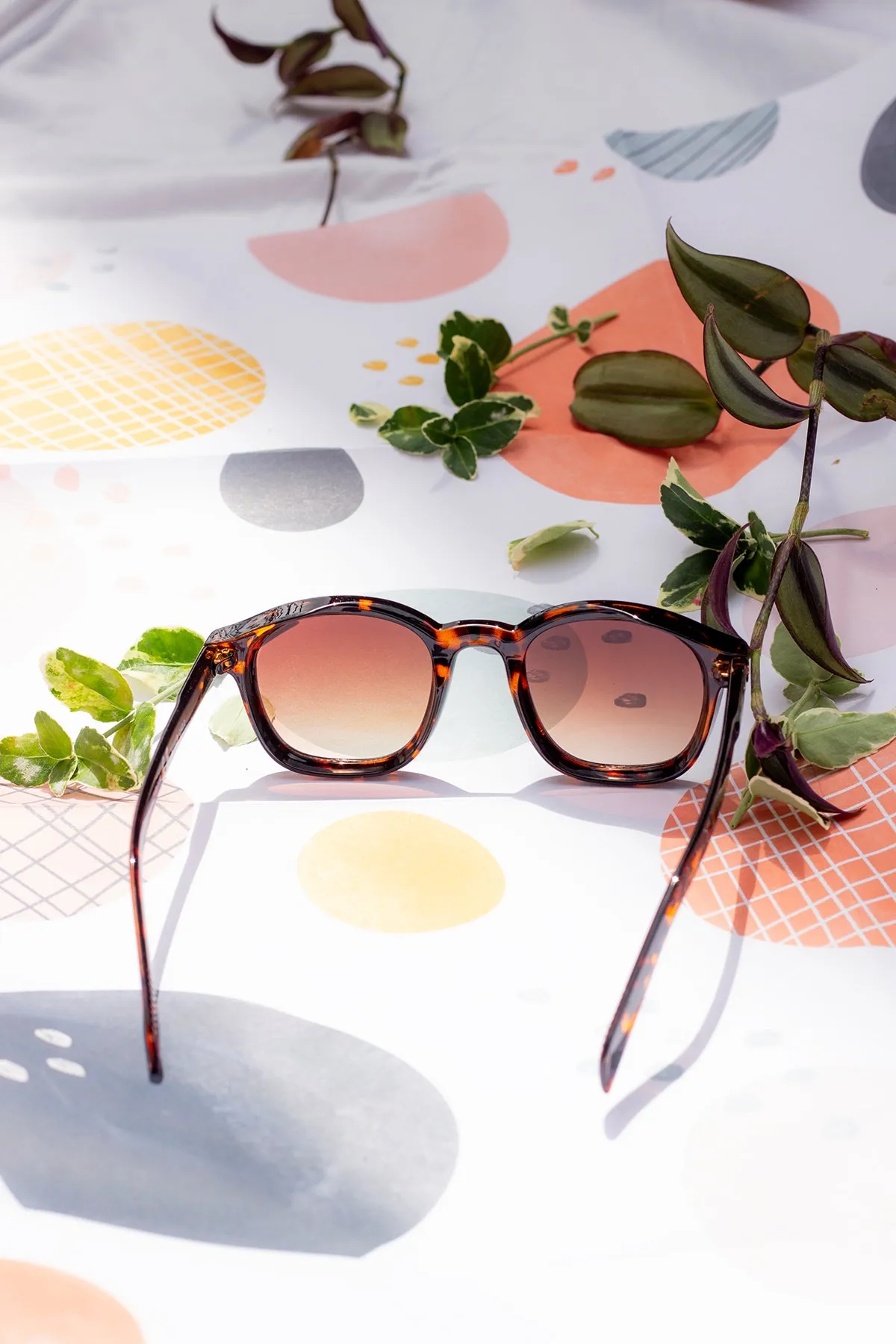 Rounded Square Retro Pin Style Sunglasses