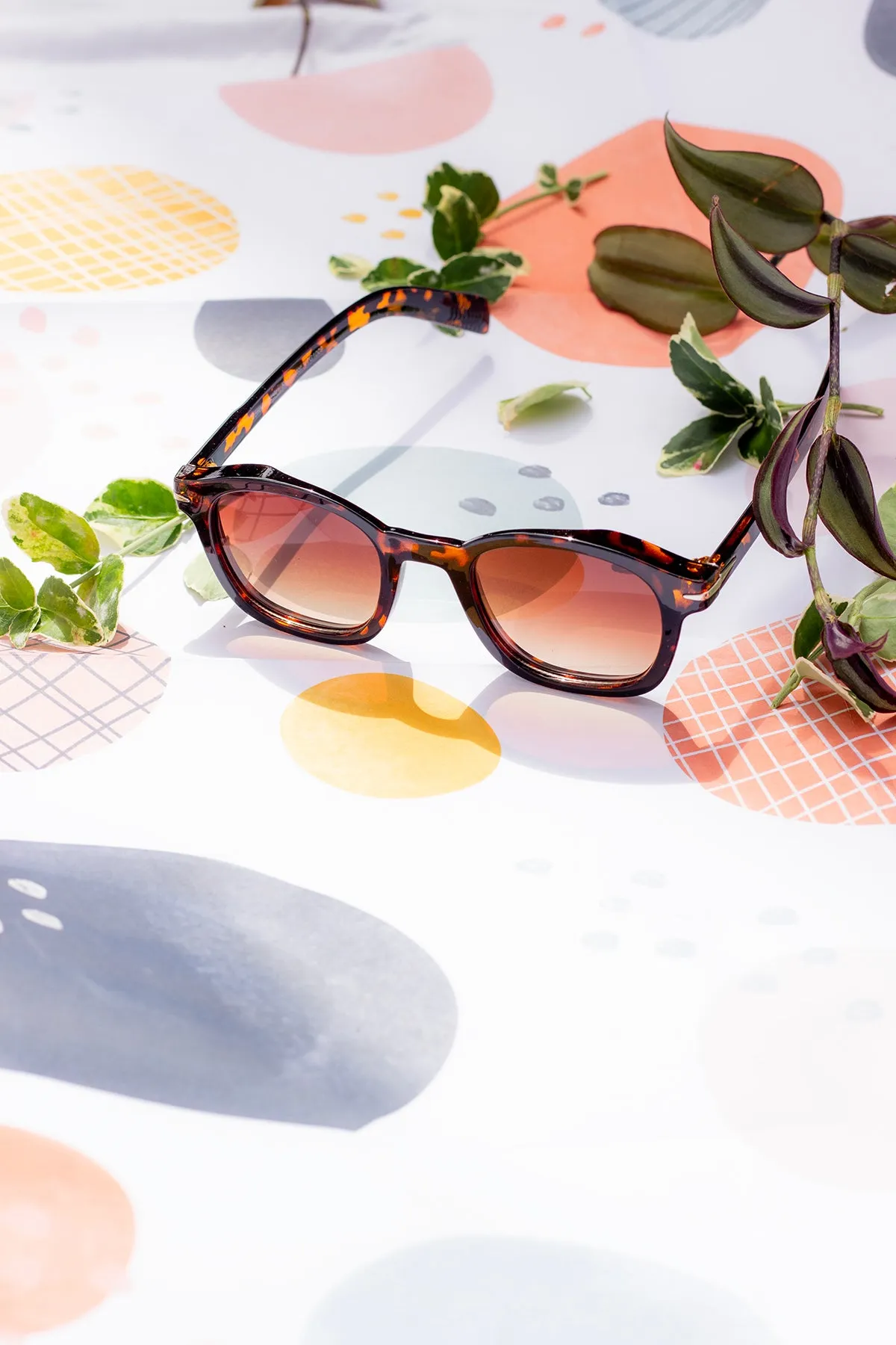 Rounded Square Retro Pin Style Sunglasses