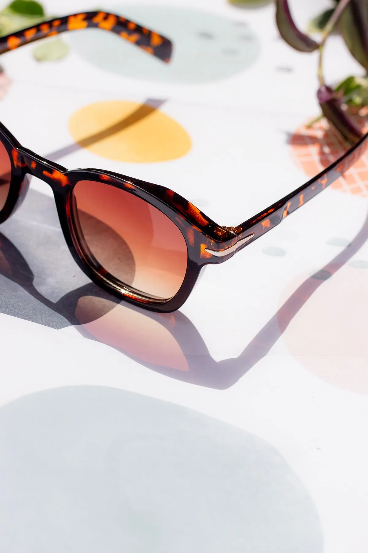 Rounded Square Retro Pin Style Sunglasses