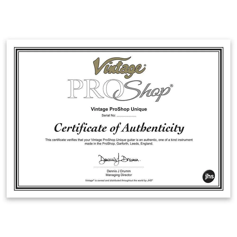 SOLD – Vintage V100 ProShop Custom-Build ~ Matte Black Maple Neck