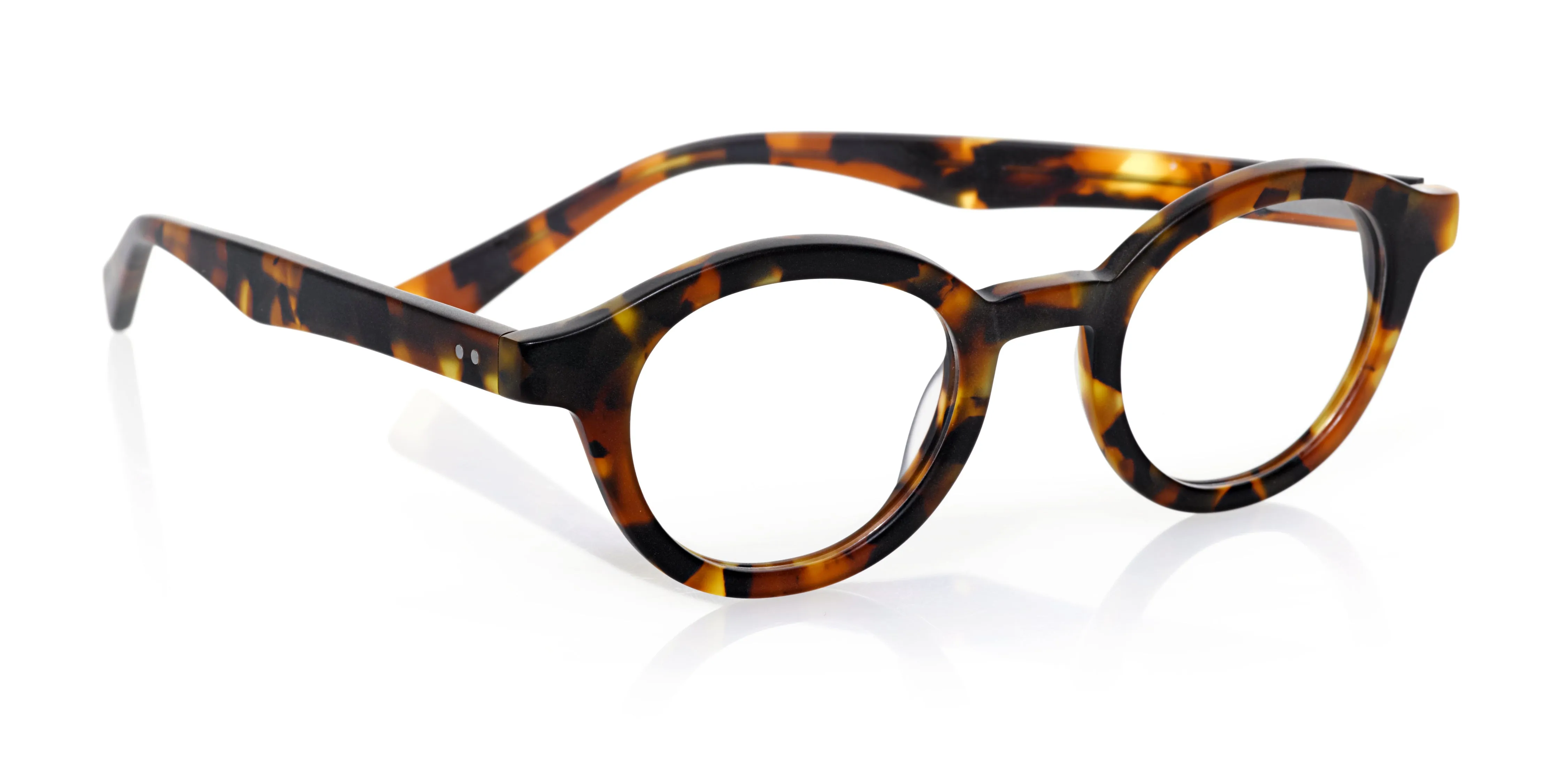 TV Party Average Color 30 - Matte Tortoise Front and Temple