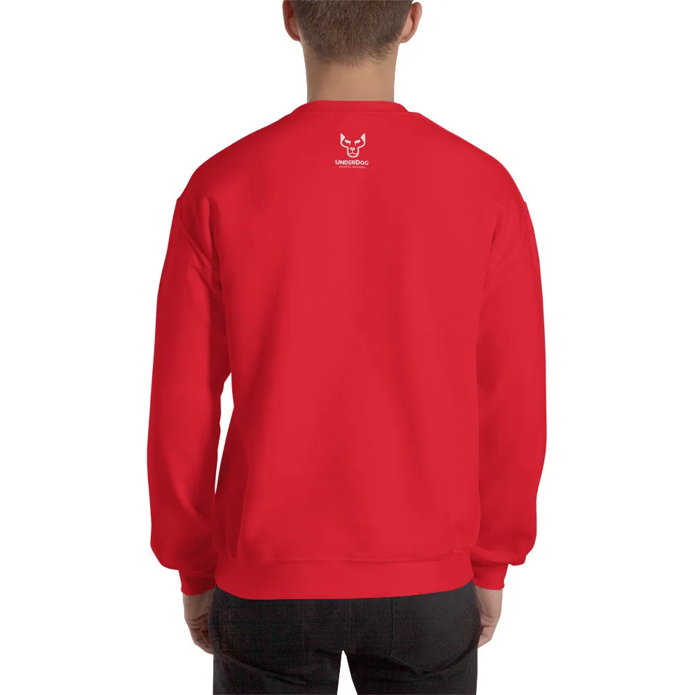 UD Sweatshirt