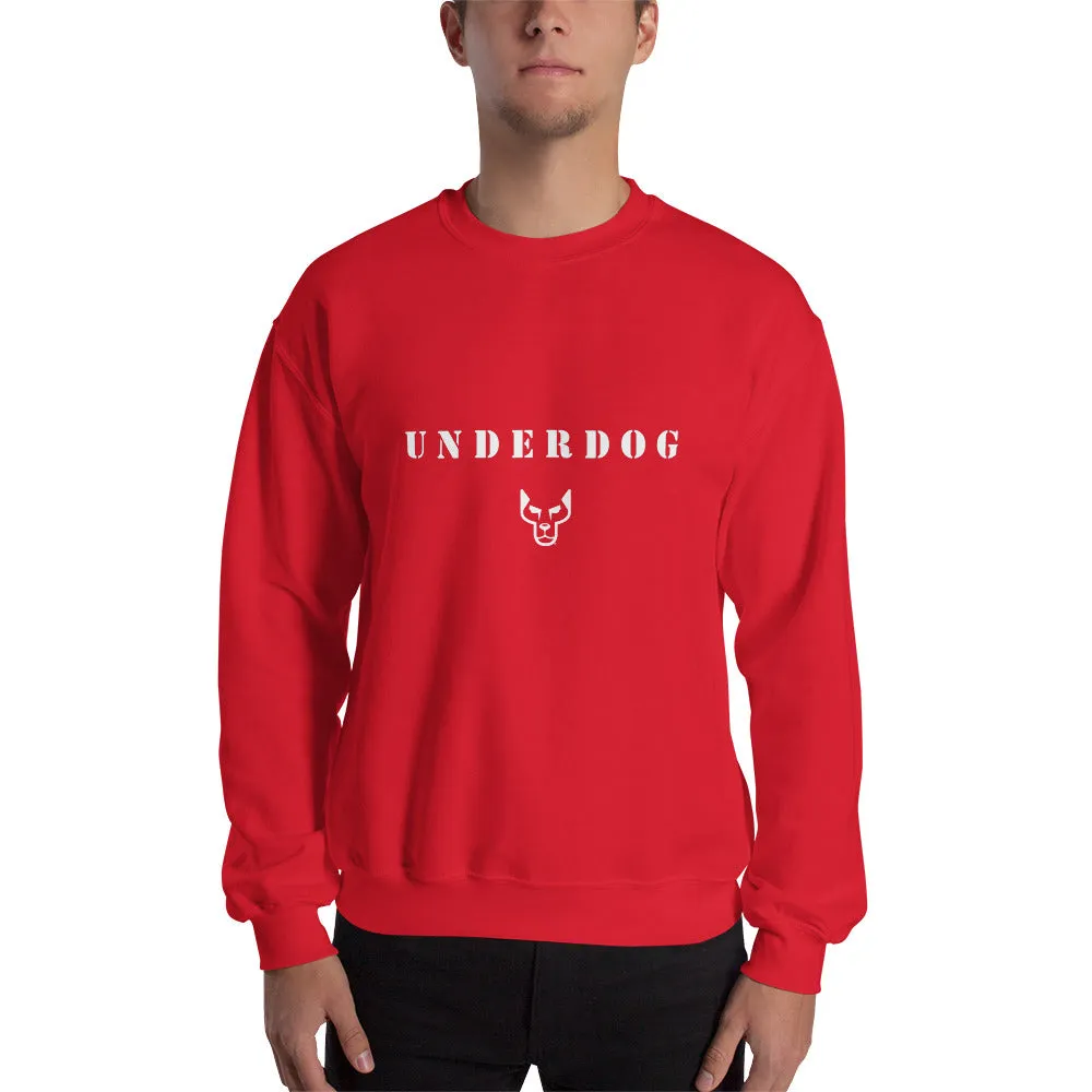 UD Sweatshirt