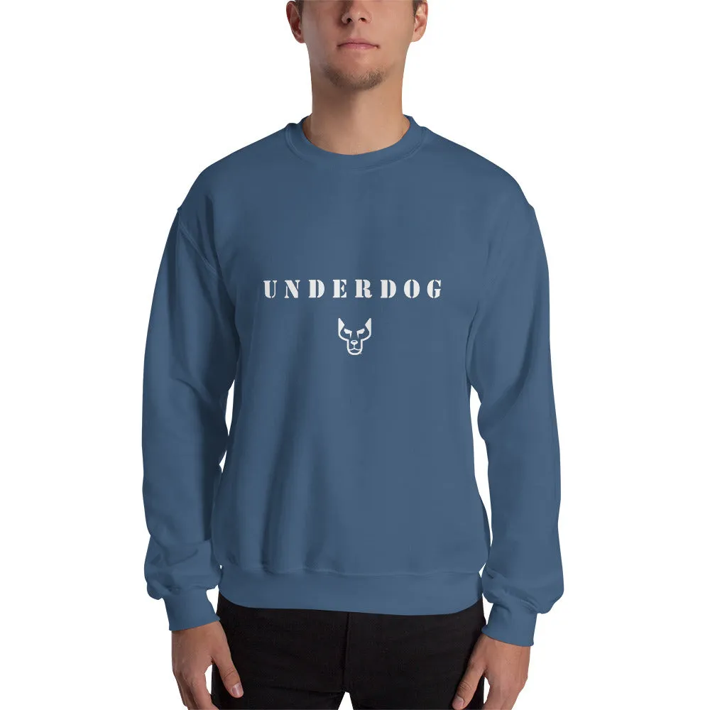 UD Sweatshirt