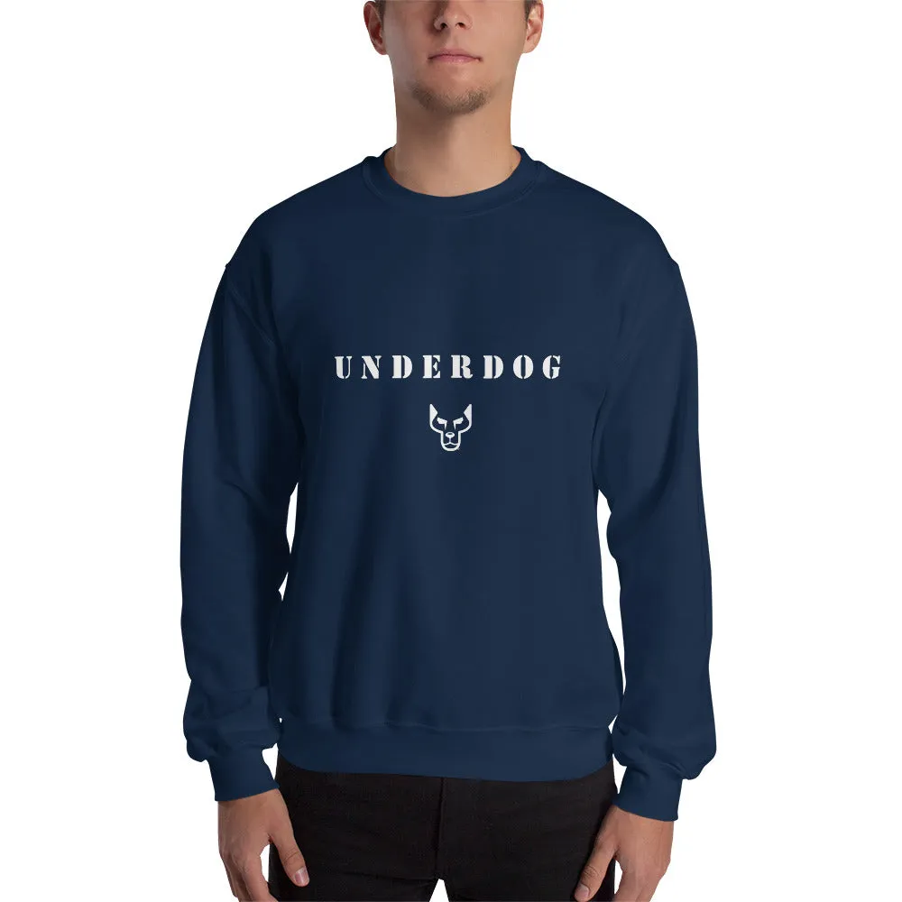 UD Sweatshirt