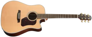 Walden D600CE Natura Dreadnought