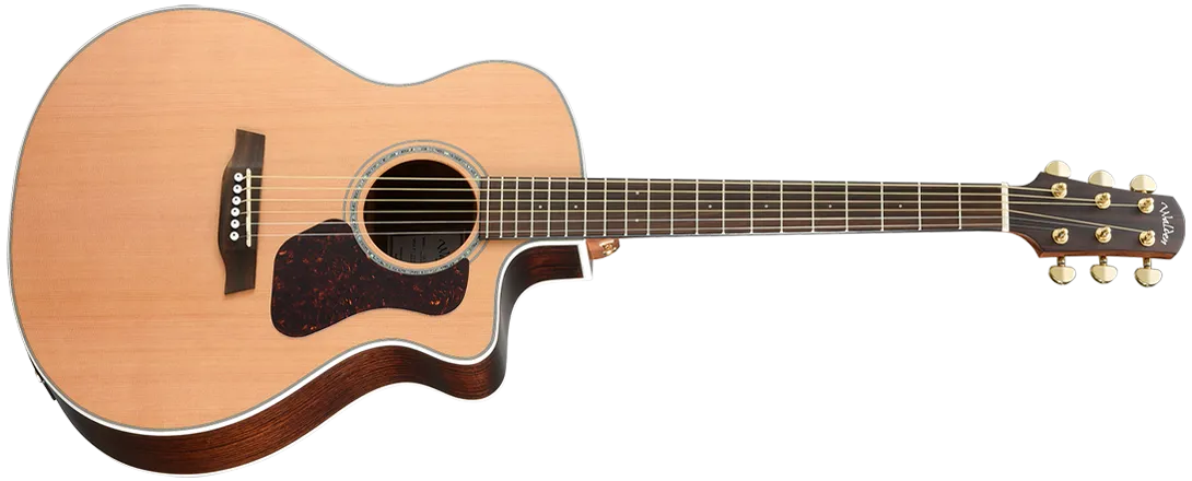 Walden G630CE Natura Grand Auditorium