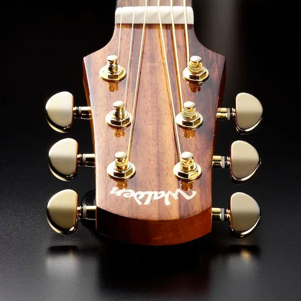 Walden G630CE Natura Grand Auditorium