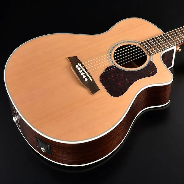 Walden G630CE Natura Grand Auditorium